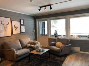 Storehorn Apartments Hemsedal
